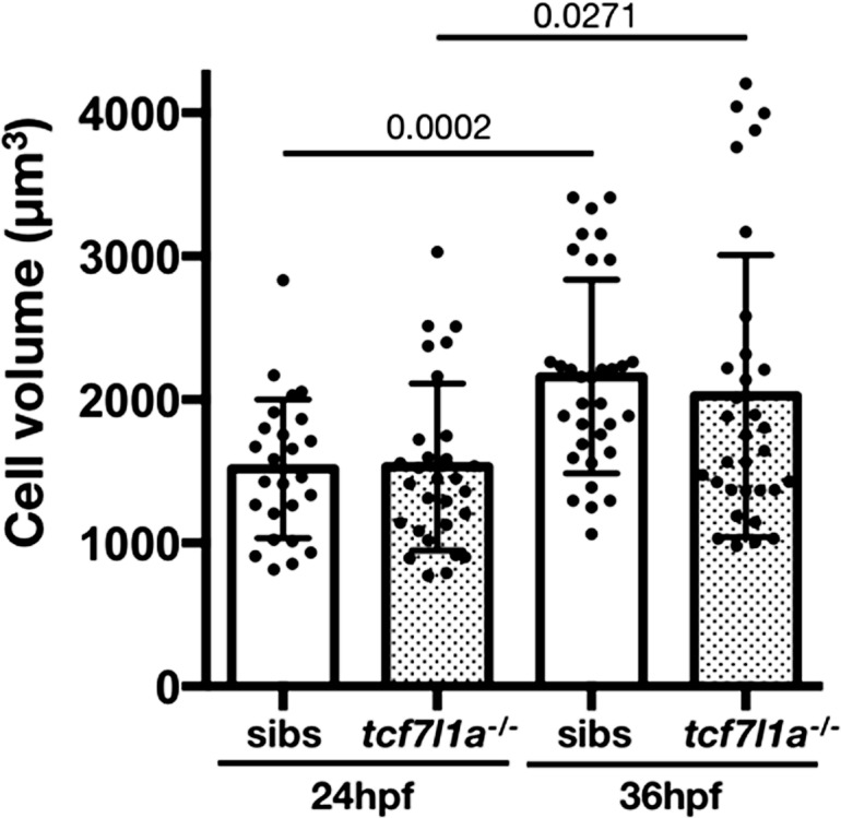 Figure 4—figure supplement 3.