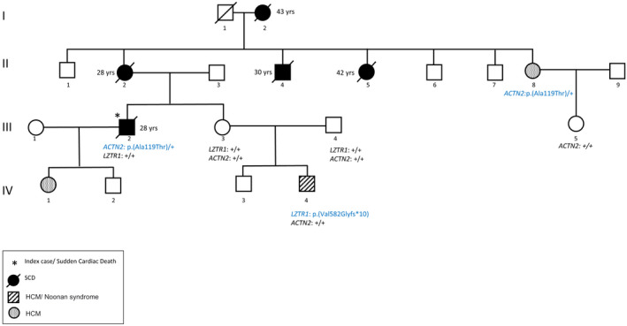 FIGURE 1