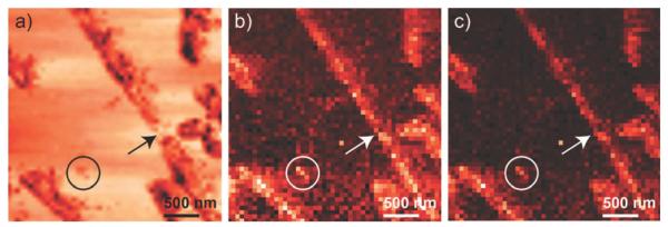 Fig. 8