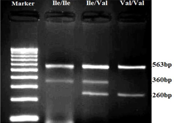 Fig. 1: