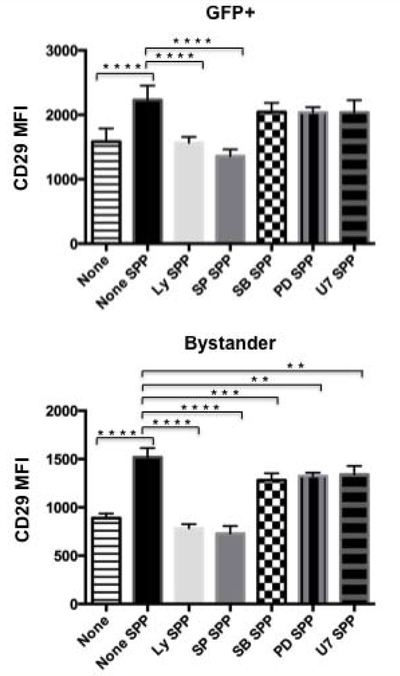 Figure 4: