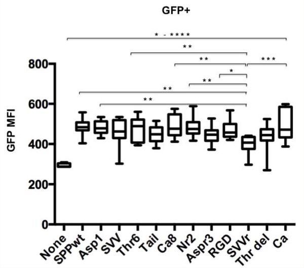 Figure 2a: