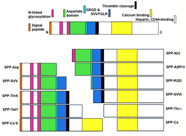 Figure 1: