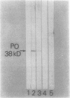 562