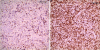 Fig. 7