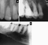 Fig. 2