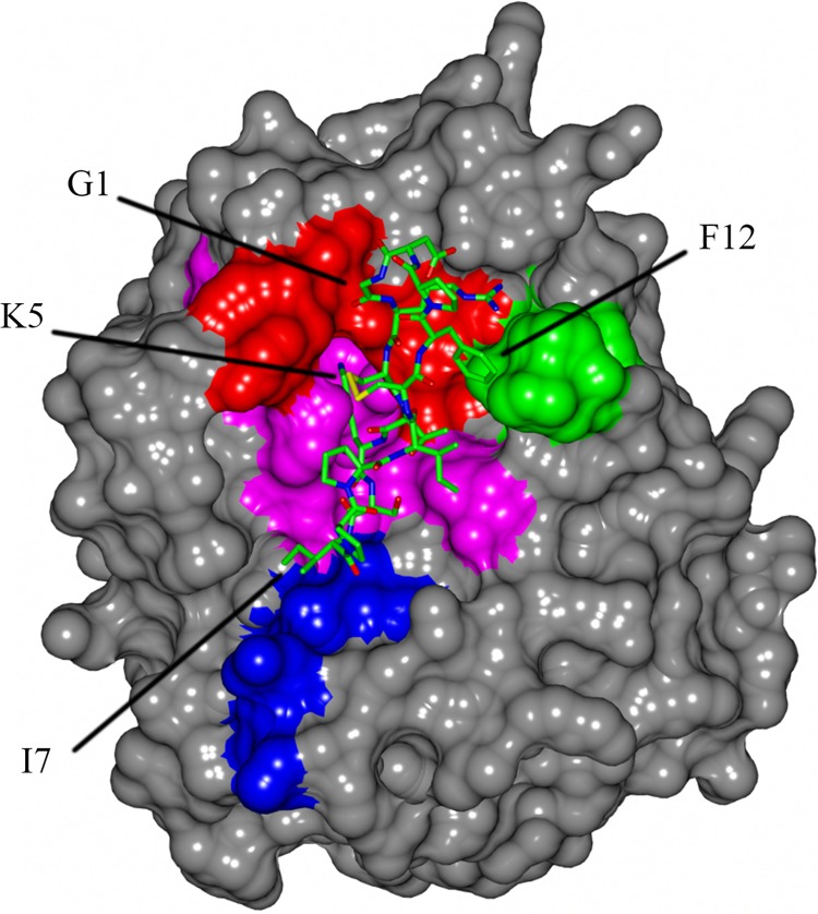 Fig 2