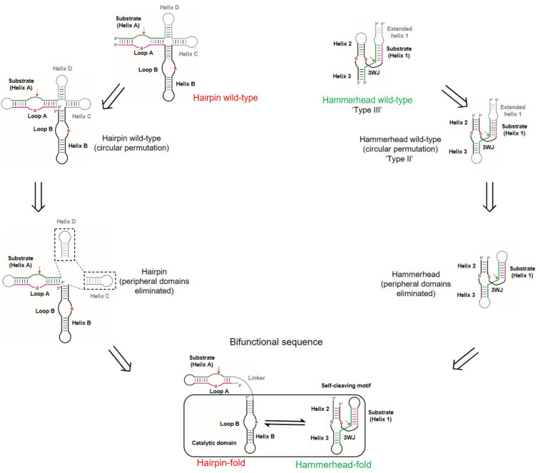 FIGURE 1.