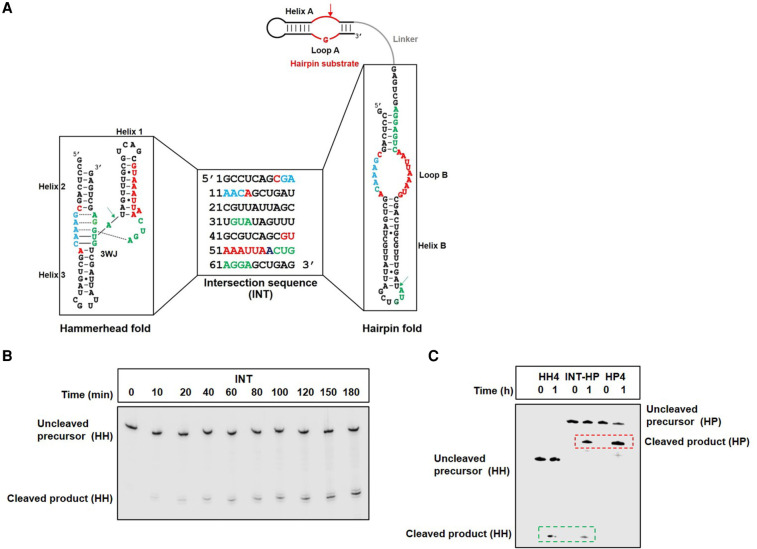 FIGURE 2.