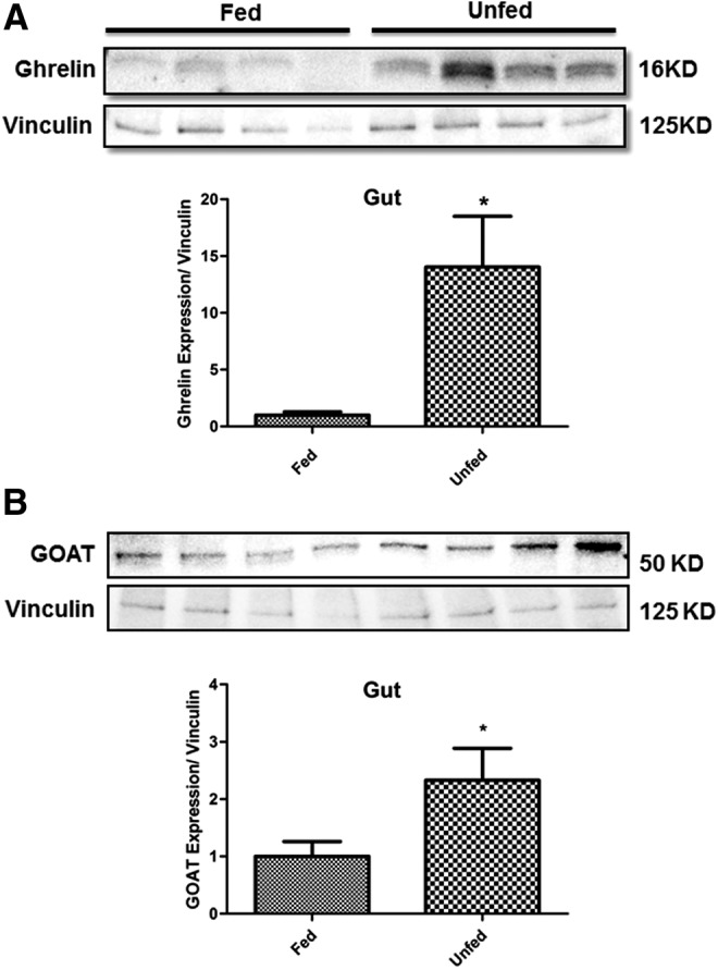 FIG. 7.