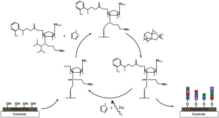 Scheme 1