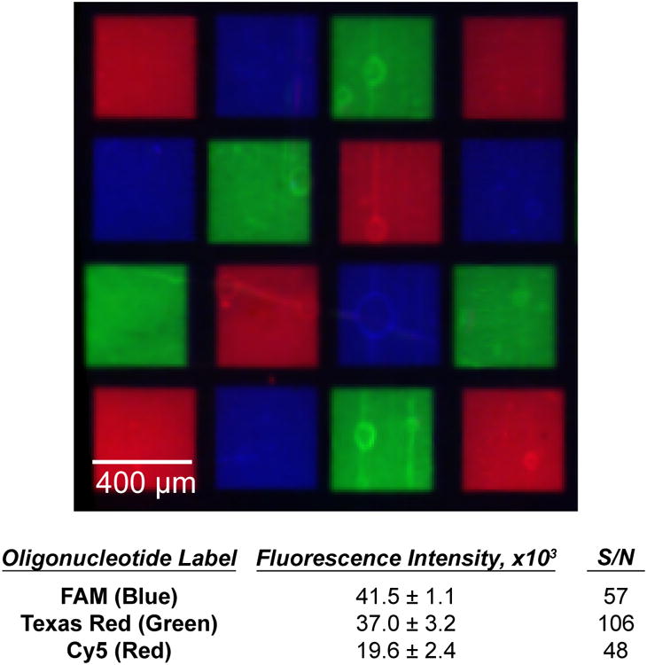 Figure 5