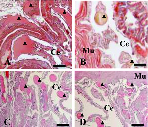 Figure 6.