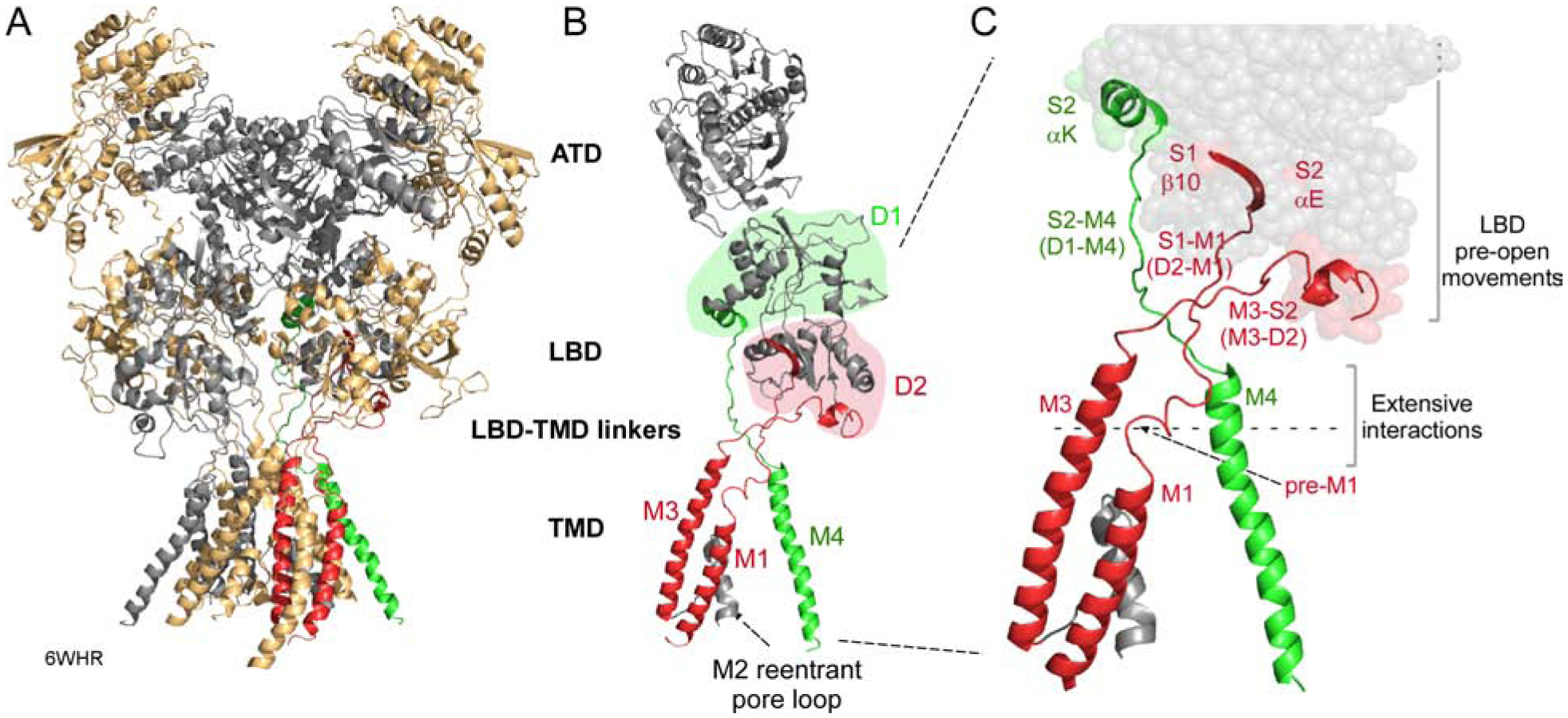 Figure 1.