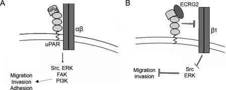 FIGURE 8.