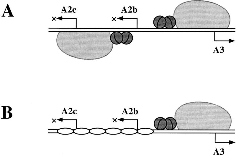 Figure 8