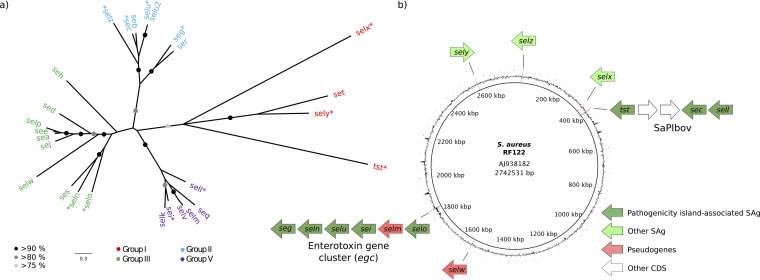 FIG 1