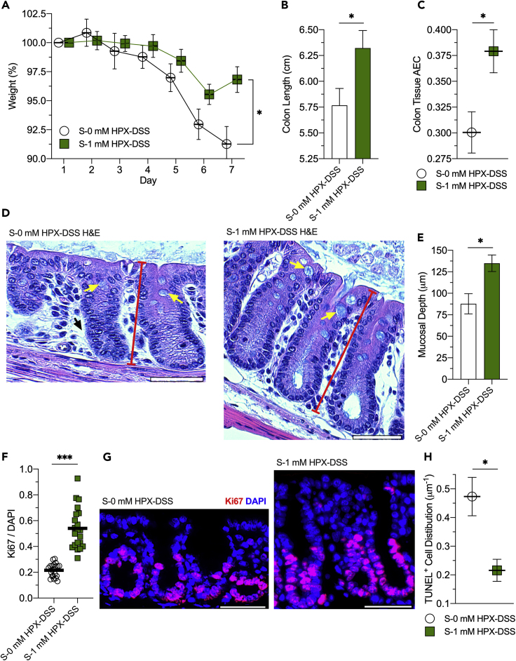 Figure 6