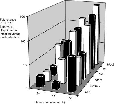 FIG. 1.