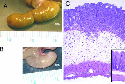 FIG. 6.