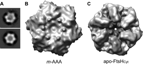 FIGURE 3.