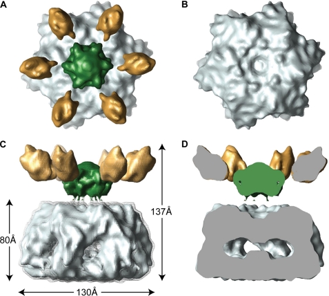 FIGURE 4.