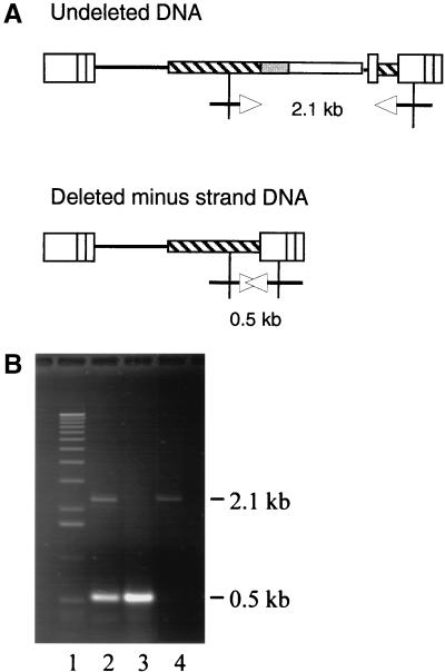 FIG. 5.