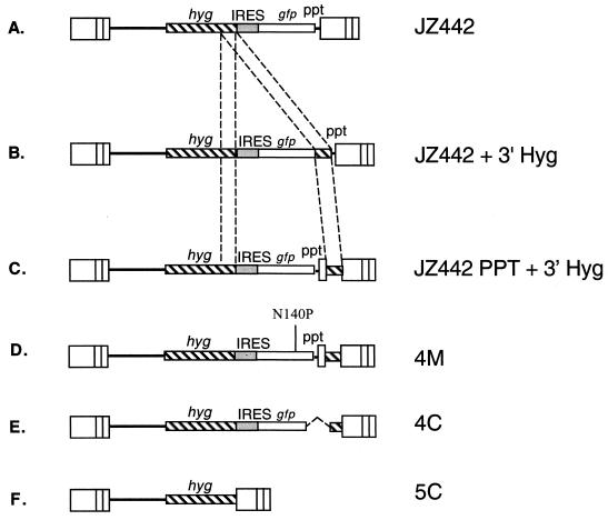 FIG. 2.