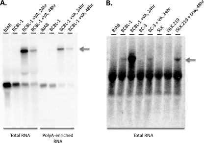 FIG. 5.