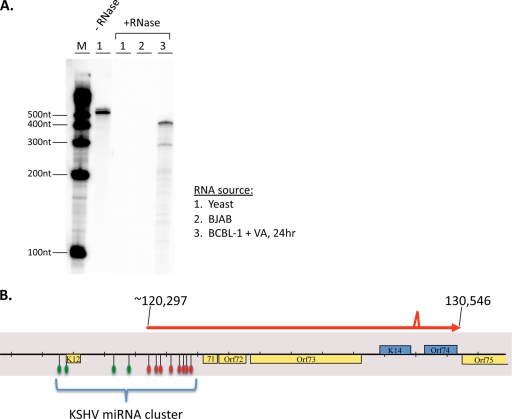 FIG. 6.