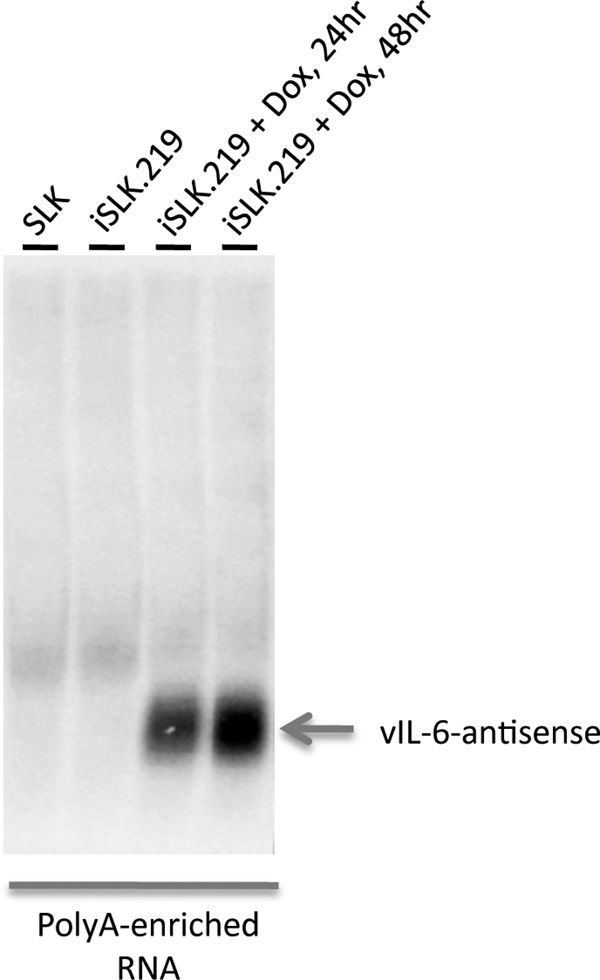 FIG. 7.