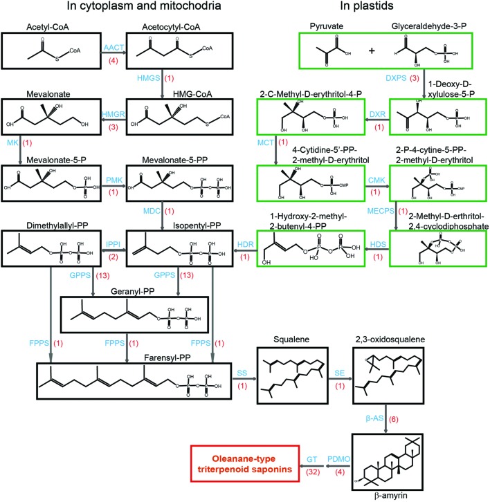 FIGURE 2