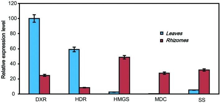 FIGURE 7