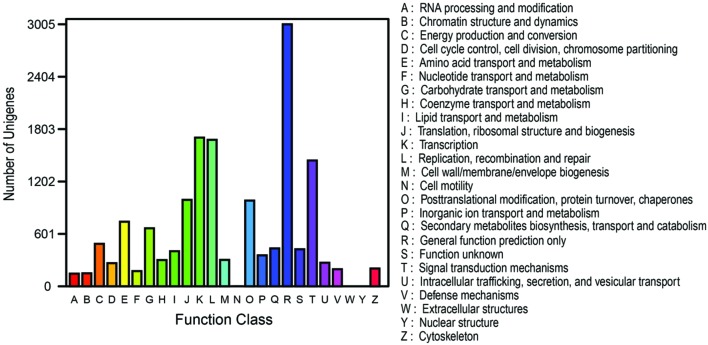 FIGURE 6