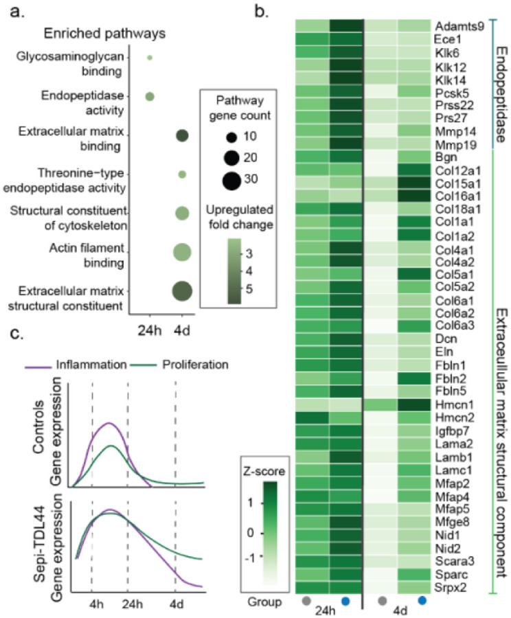 Figure 4: