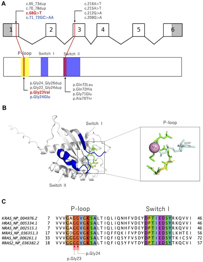 FIGURE 3