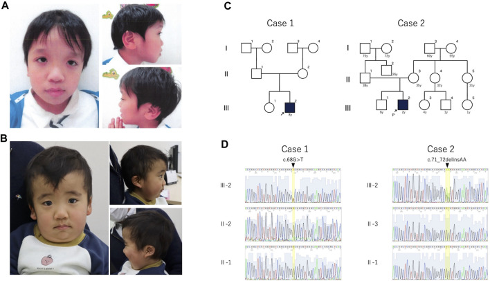 FIGURE 1