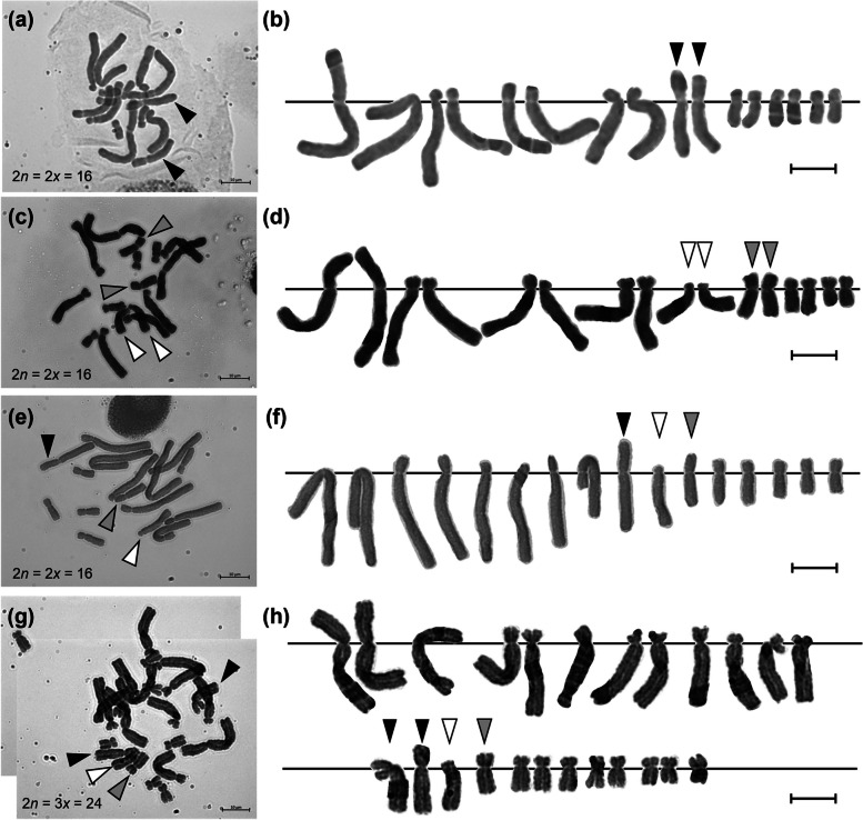 Fig. 4