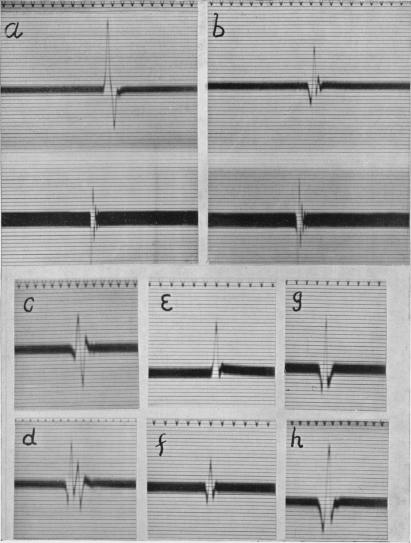 Plate I