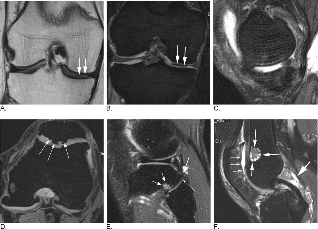 Figure 24