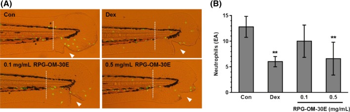 Fig. 4