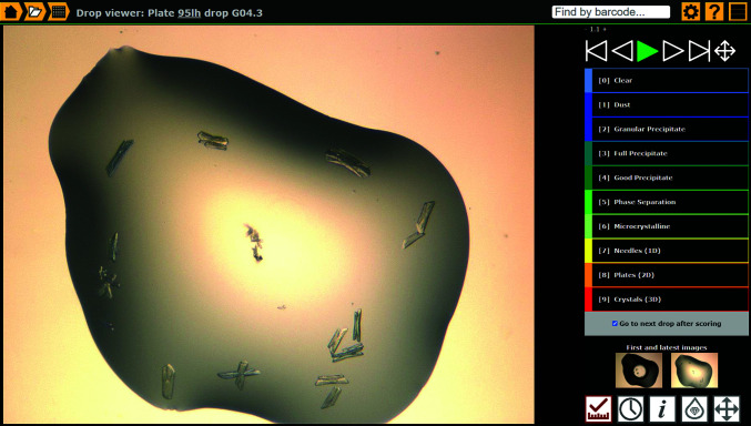 Figure 6