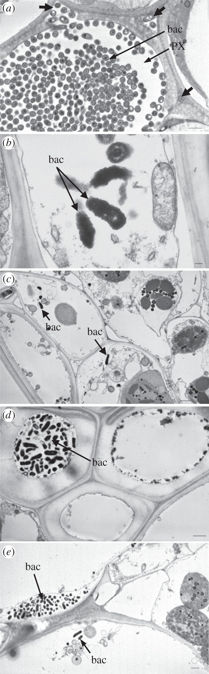 Figure 3.