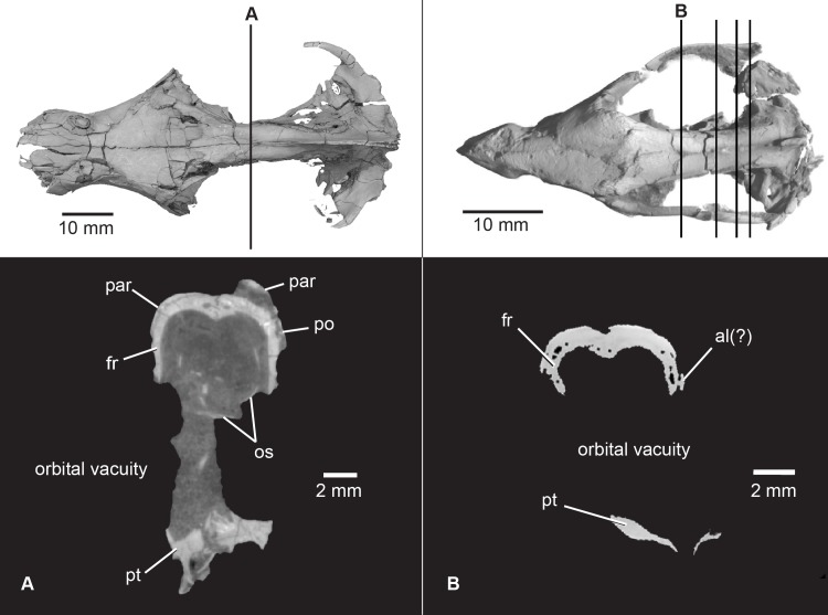 Fig 13