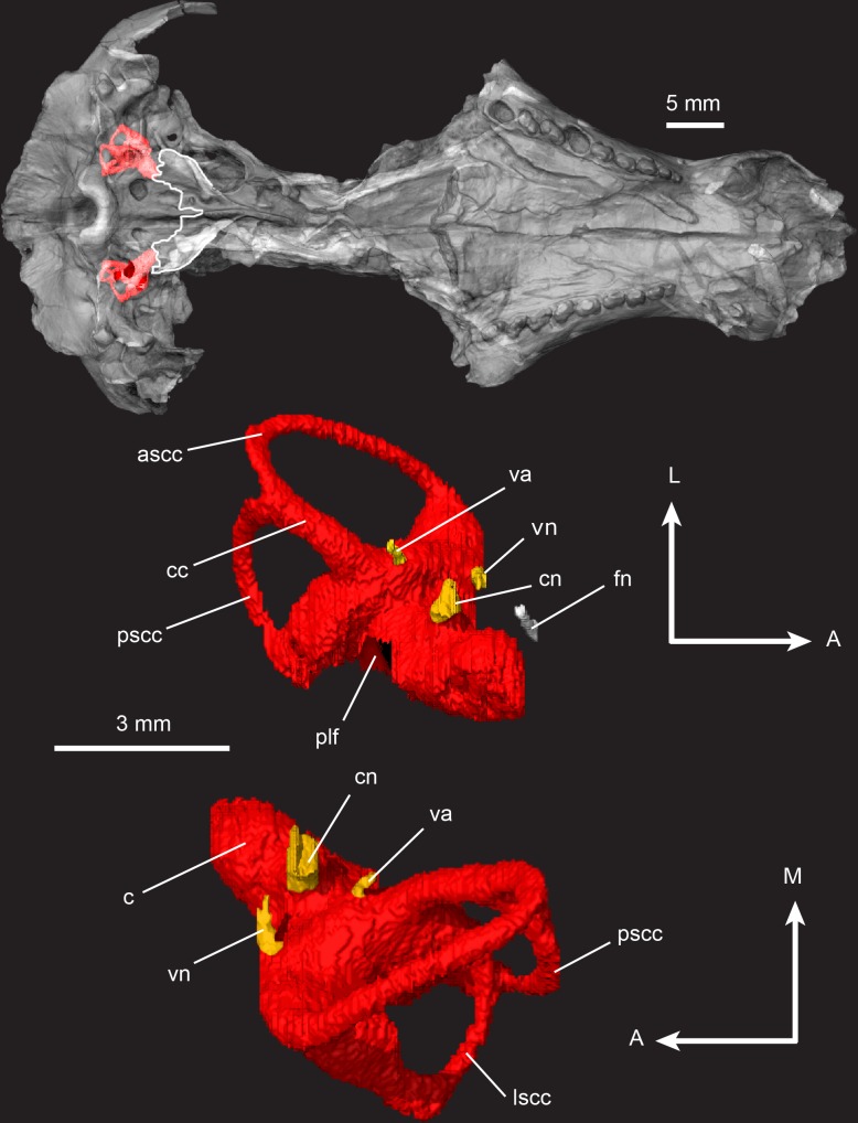 Fig 20