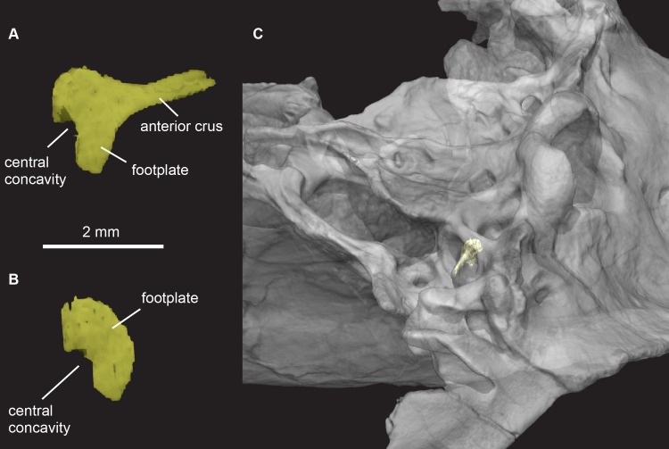 Fig 17