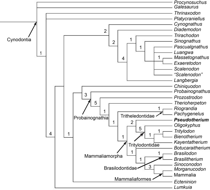 Fig 30