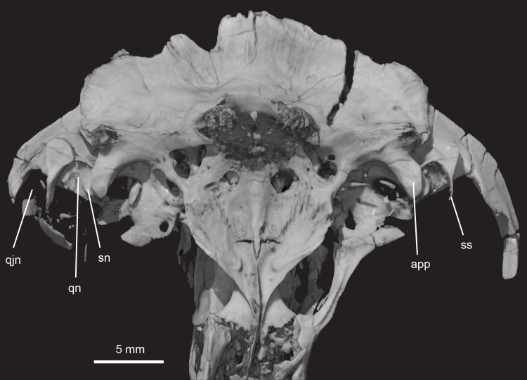 Fig 15