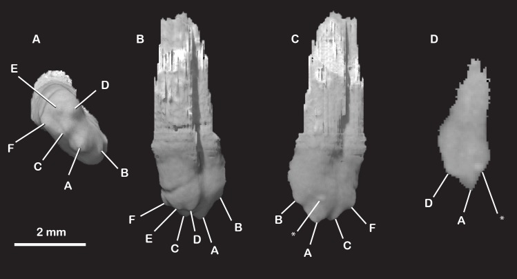 Fig 28