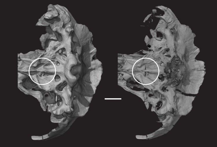 Fig 25